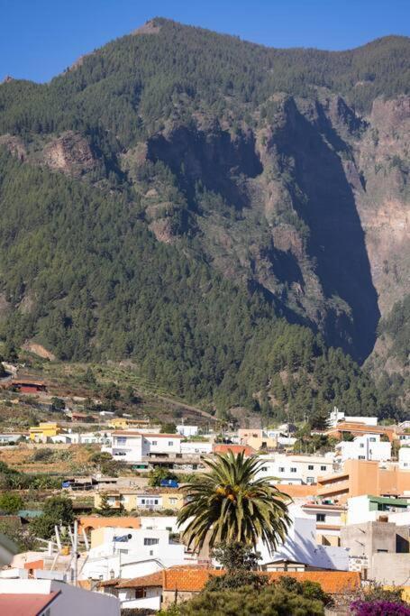 Acogedor Atico Con Vistas Al Atlantico Leilighet Arafo Eksteriør bilde
